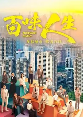 雾港谜案 热播电视剧全集